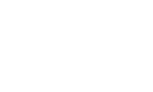 Next.js